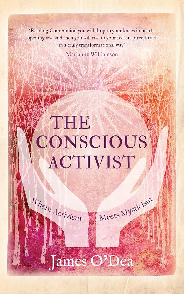 洋書 CONSCIOUSNESS BIOENERGY AND HEALING Consciousness, Bioenergy and Healing: Self Healing and